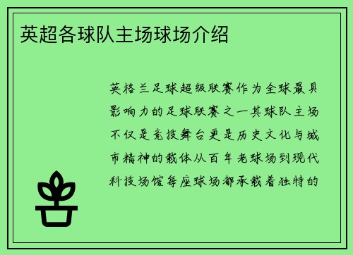 英超各球队主场球场介绍